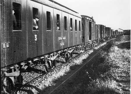 Tren mixto en la estaciÃ³n de Daroca.