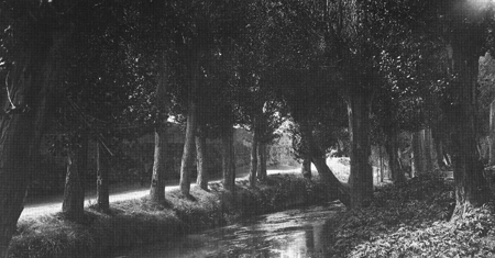 Paseo del Bosque en aguas del rÃ­o Jiloca. Calamocha.