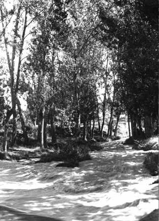 Vista de las cercanÃ­as del rÃ­o Jiloca en Calamocha.