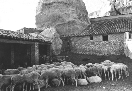 Paridera. Langa del Castillo.