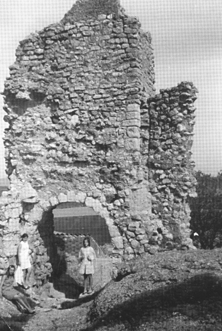En la puerta interior del castillo. Langa del Castillo.