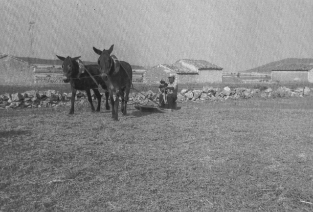 Trillando en Torralbilla, 1979