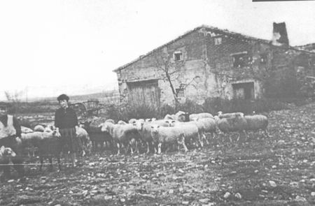 El Ventorrillo, con DelfÃ­n y Carmen. Villarreal de Huerva.