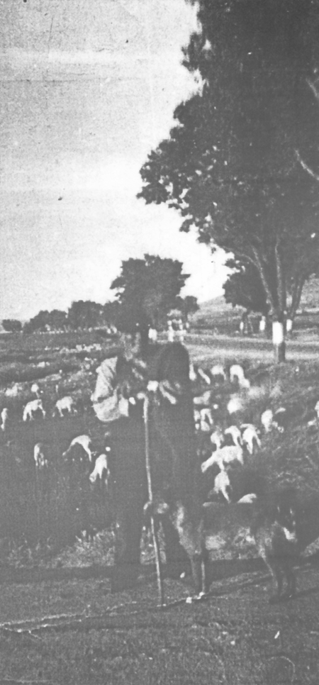 Florencio en Mainar con su perro LeÃ³n.