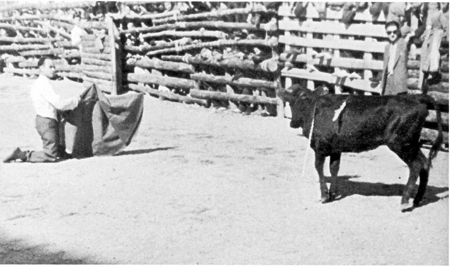 Manuel Blasco GarcÃ­a durante la lidia. Daroca.