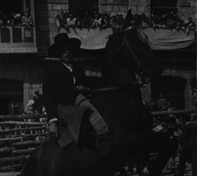 Toros en Daroca, 1946