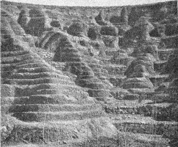 Rambla del ReventÃ³n. DAroca
