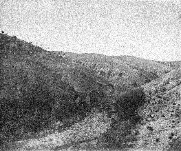 Rambla del ReventÃ³n. DAroca