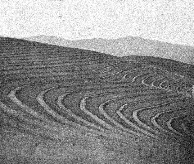 Rambla de Valdemartin. Daroca