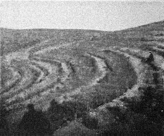 Rambla de Valdemartin. Daroca