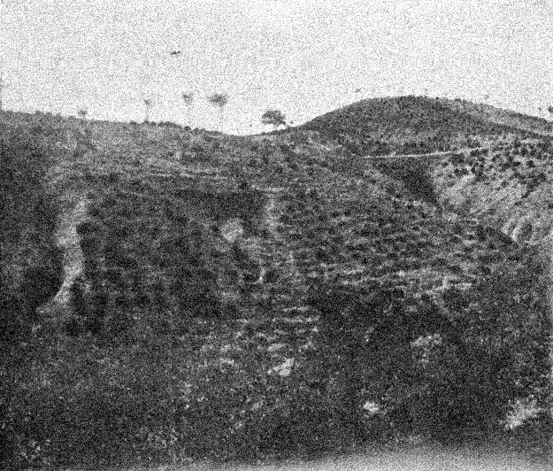 Rambla del ReventÃ³n. Daroca
