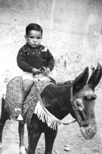 NiÃ±o en burro. Nombrevilla