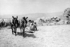 Trillando en Nombrevilla