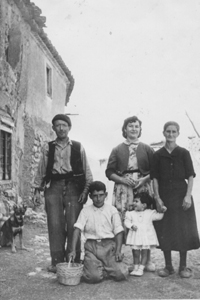 Familia de Nombrevilla