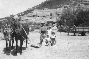 Trillando en Nombrevilla