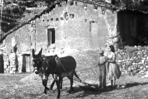 De trilla en Nombrevilla. El abuelo  con los nietos