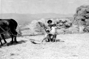 En la era de Nombrevilla