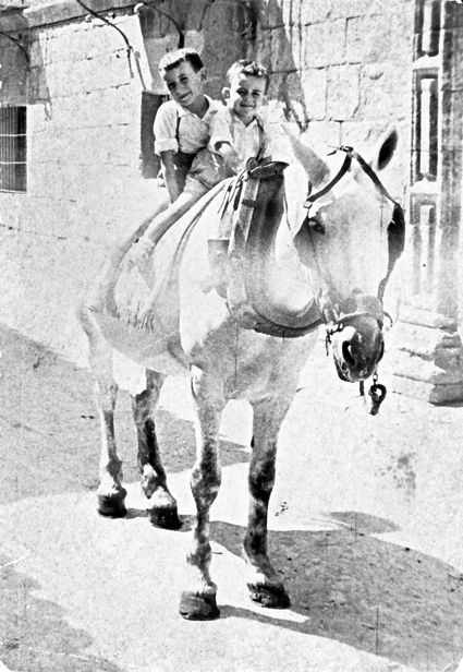 Montados en la yegua. Calamocha