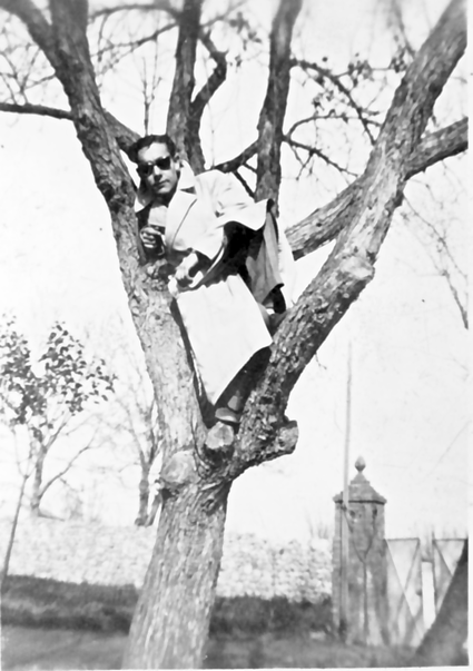 Subido al Ã¡rbol. Calamocha