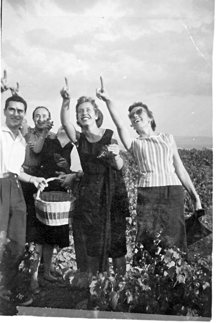 Cogiendo uvas. Calamocha