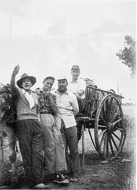 El burro, el carro y los voluntarios. Calamocha.