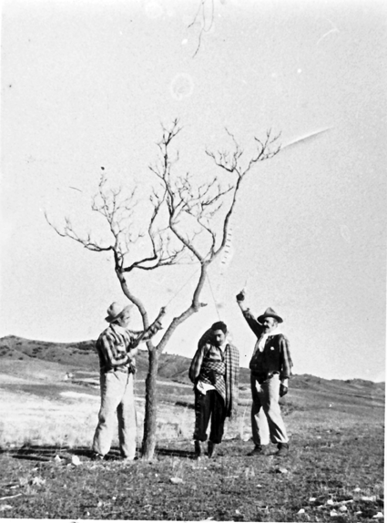 Un ahorcado en el Salobral. Calamocha