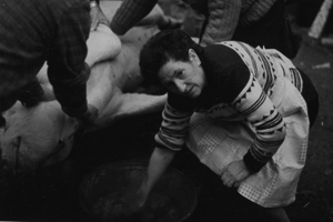 MatacÃ­a. AÃ±o 1988. Romanos.