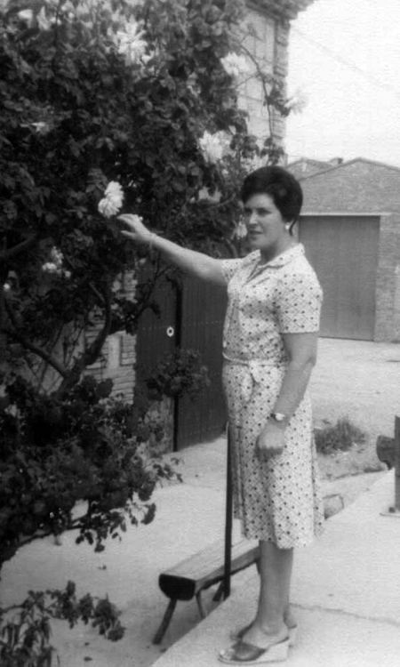 Enriqueta Bronchal. Cella.