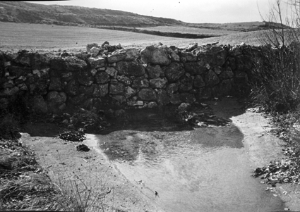 Agua estancada. Cosa