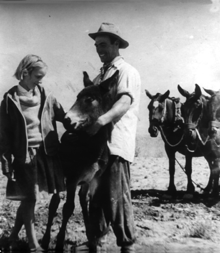 Las mulas. AÃ±o 1955. Cella.