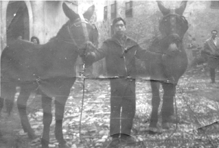 Bernardino Morillas con dos burros. Cella.