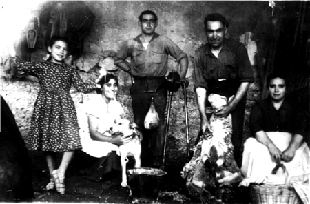 Grupo esquilando. Cella.