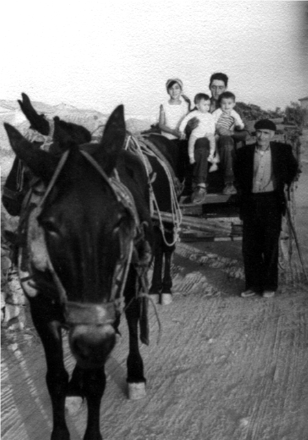 Familia de Carmen Blasco sobre un carro. Cella.
