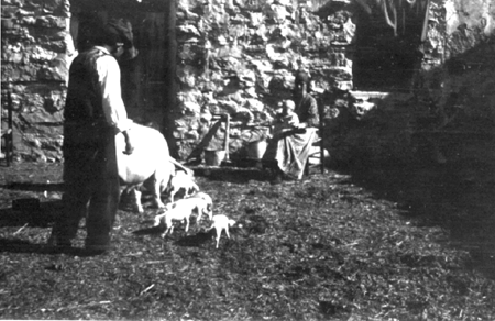 Lorenzo Benedicto con animales. Cella.