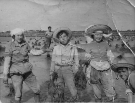 Luisa y otros trabajando en el campo. Cella.