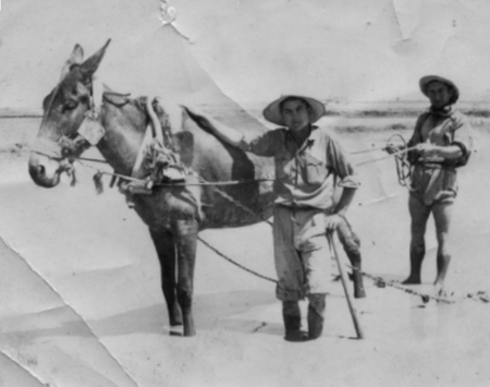 Luisa con un caballo trabajando el campo. Cella.