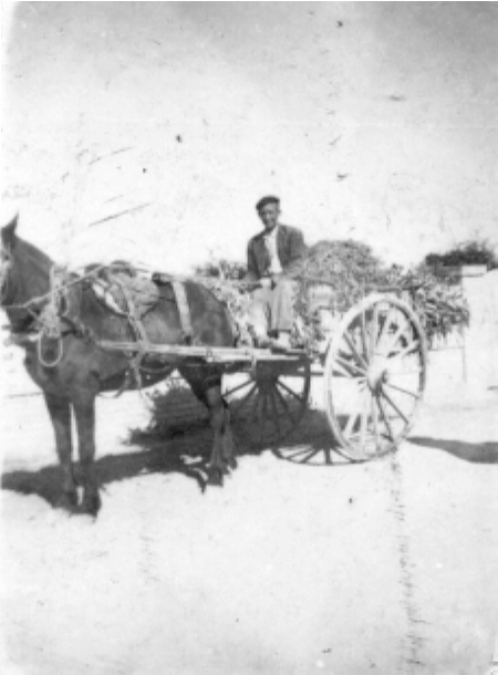 Marcoa Soler en un carro. Cella.