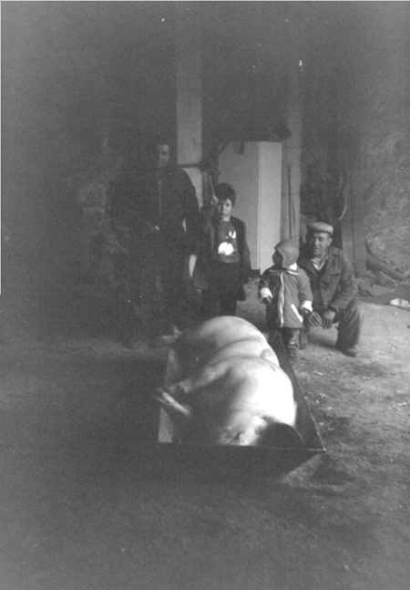 Mariana y Miguel en la matanza. Cella.