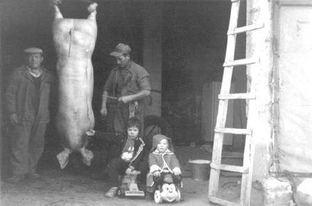 Miguel y Lorenzo en la matanza. Cella.