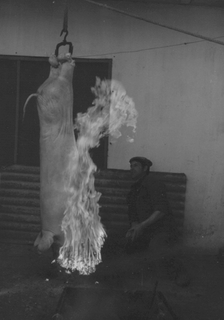 MoisÃ©s SÃ¡nchez en la matanza. Cella.