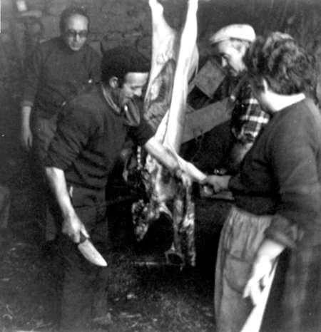 En la matanza. Cella.