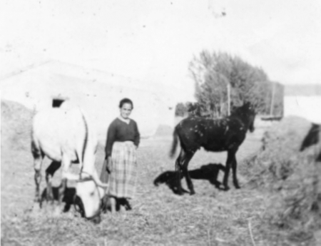 Mujer trabajando con animales. Cella.