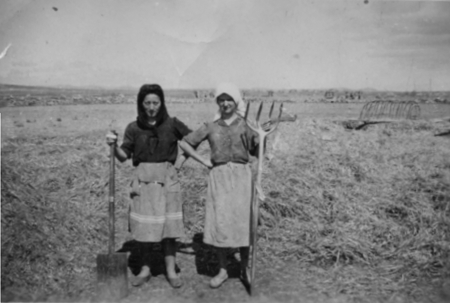 Pura Soriano y Pilar Sanz trabajando en el campo. Cella.