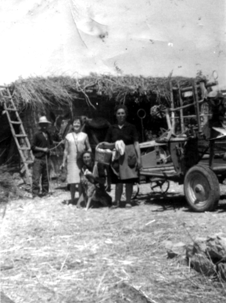 VÃ­ctor y otros trabajando en el campo. Cella.