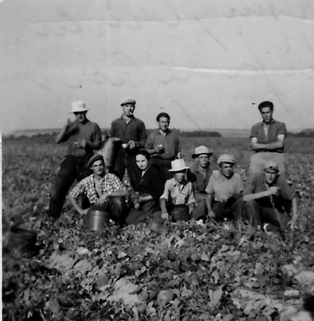 Grupo de trabajadores del campo. Cella.