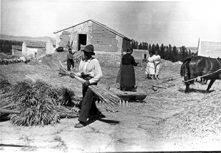 Trabajadores del campo. Cella.