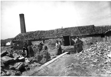 Trabajando en el campo. Cella.