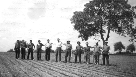 Cultivando remolacha. AÃ±o 1961. Cella.