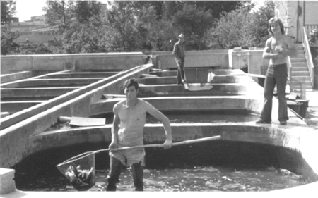 Trabajando en la piscifactorÃ­a de Cella.