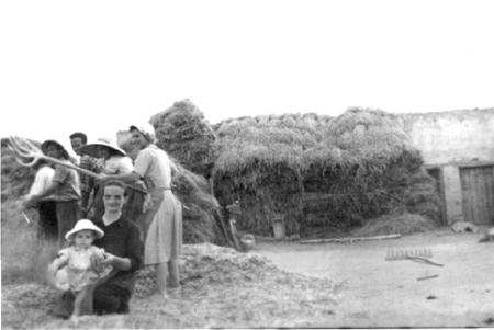 Familia JÃ¡tiva trillando en la era. Cella.